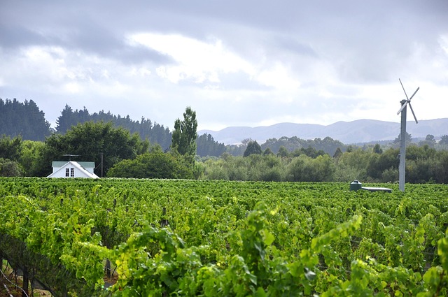 Free Wairarapa New Zealand photo and picture