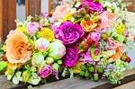 flowers, roses, violet
