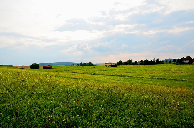 Free Landscape Darling photo and picture