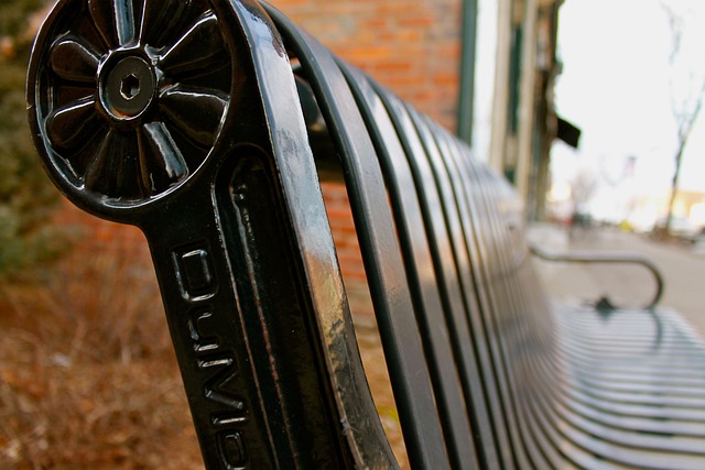 Free Bench Perspective photo and picture