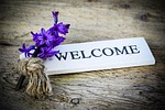 hyacinth, flower, fragrant flower