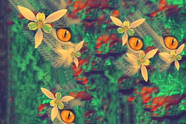 Download free HD stock image of Colour Nature Free colour nature cat illustration