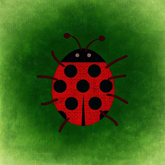 Free ladybug points fun illustration