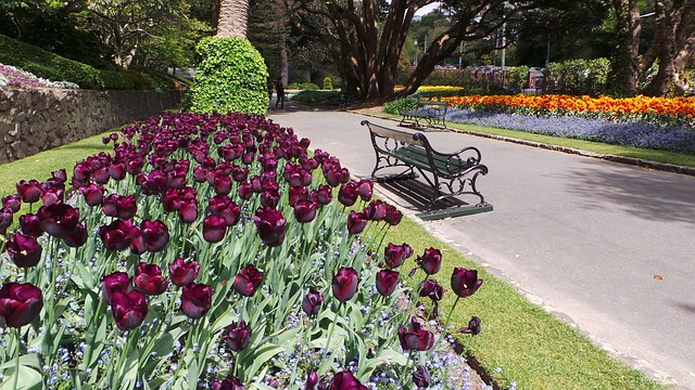 Free Wellington New Zealand photo and picture