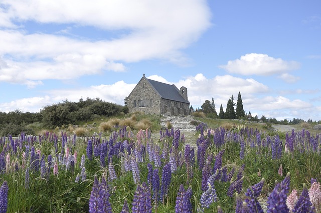 Free Tekapo New Zealand photo and picture