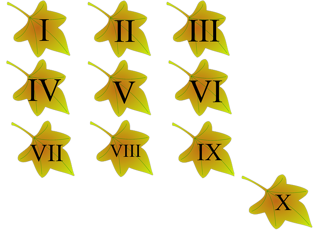Free numbers leaflets roman illustration