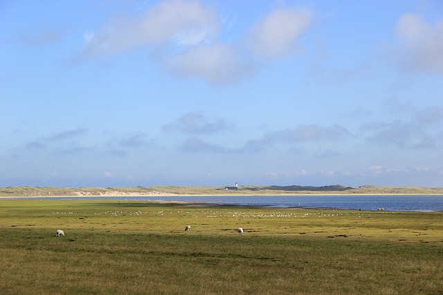 Free Summer Sylt photo and picture
