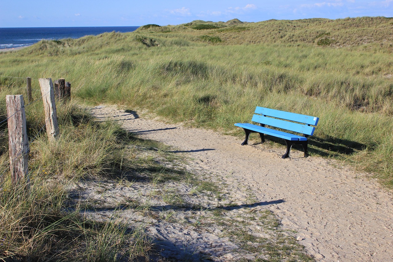 Path Bank Sand Dunes - Free photo on Pixabay - Pixabay