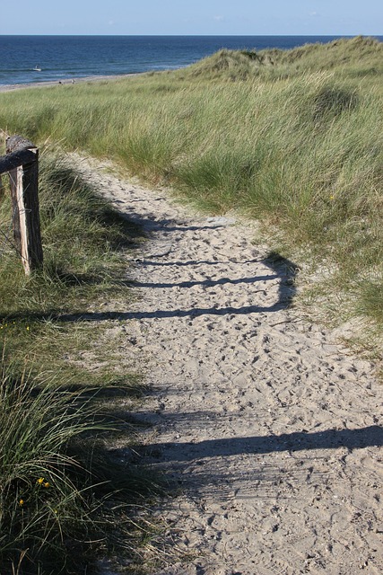 Free North Sea Sand Dunes photo and picture