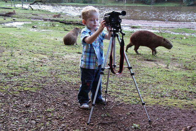 Free Photographer Swamp photo and picture