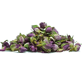 Rosa, Flor, Cor, Planta, Floral