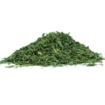 Alfafa, Folha, Natureza, Nutritivo