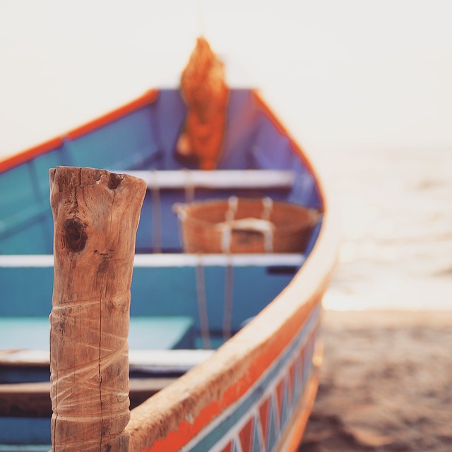 Free Allepey Beach photo and picture