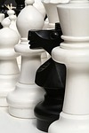 chess, pieces, game