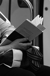 commute, passenger, reading
