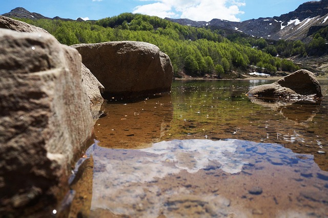 Free The Needle Landscape photo and picture