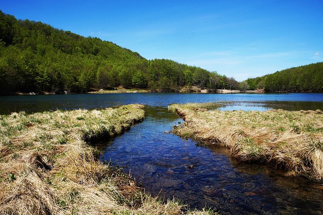 Free The Needle River photo and picture
