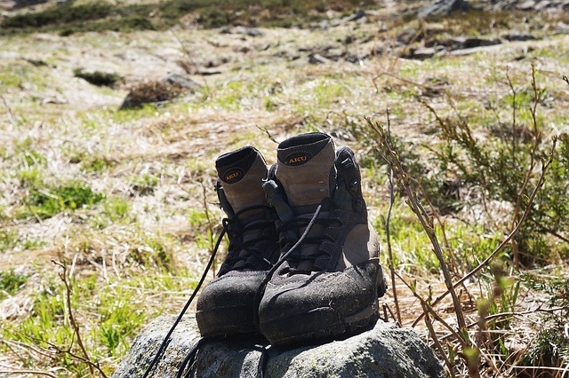 Free Boots Trekking Shoes photo and picture