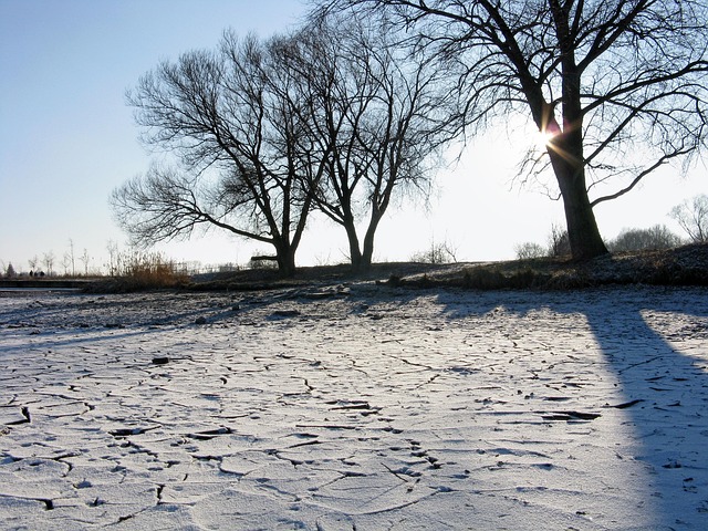 Free Winter Sun photo and picture
