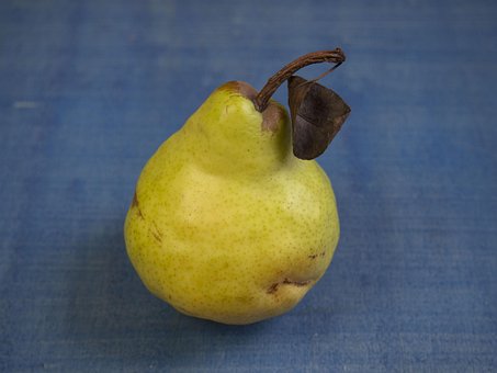 Free Pear Fruit photo and picture