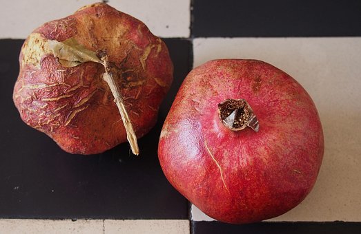 Free Pomegranate Reverse Schrumpelt photo and picture