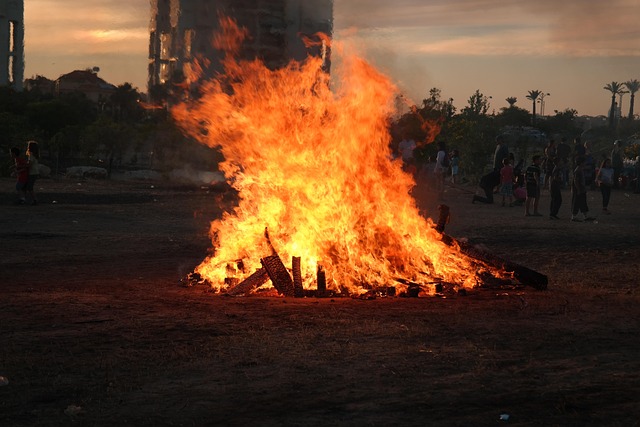 Free Fire Flames photo and picture