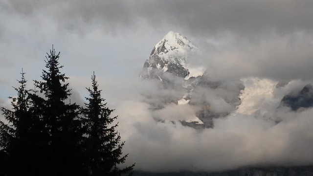 Free Moutains Alps photo and picture