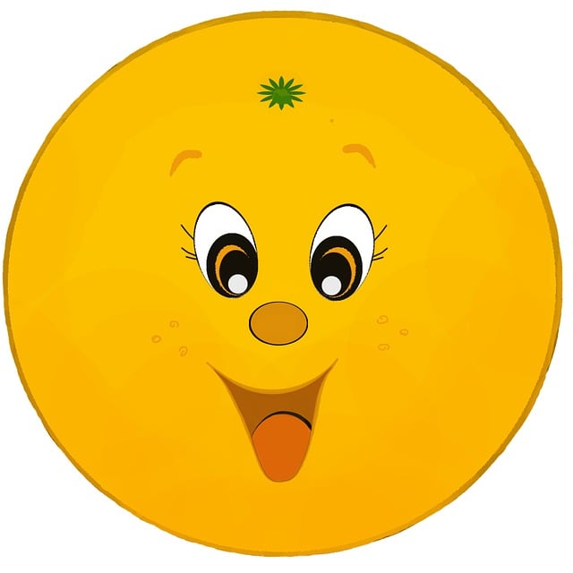 Free orange fruit citrus fruit illustration