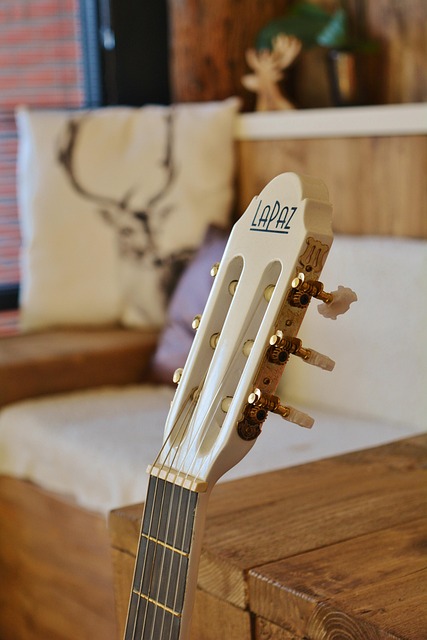 Free Guitar Atmosphere photo and picture