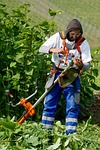 weed, man, overalls