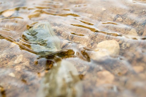 Free River Water photo and picture