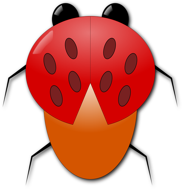 Free Ladybug Beetle vector and picture