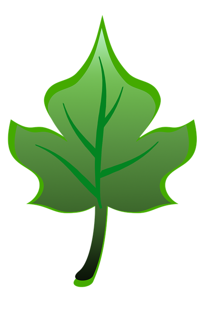 Free Leaf Tree illustration and picture