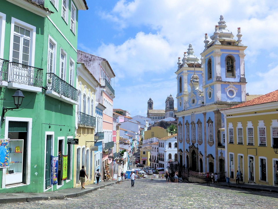 Pau Brasil Bahia fonte: cdn.pixabay.com Fonte: cdn.pixabay.com