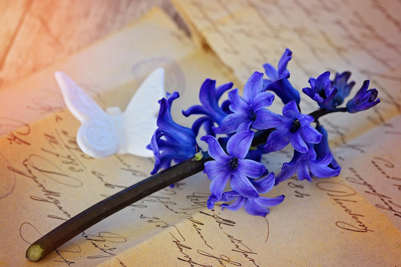 Hyacinth - free online jigsaw puzzle photo