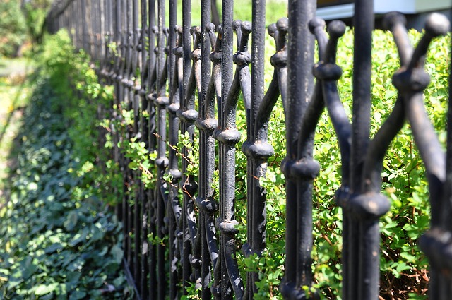 Free Fence Macro photo and picture