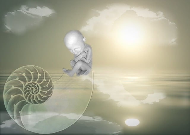 Trẻ Em, Sinh, Vỏ Bọc, Trẻ Sơ Sinh