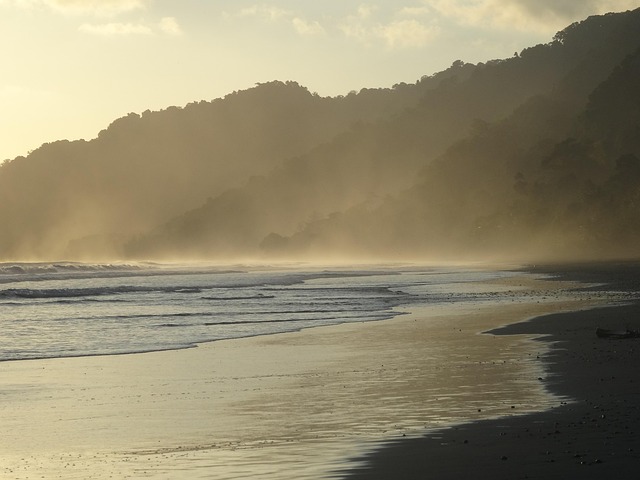 Free Sea Beach photo and picture