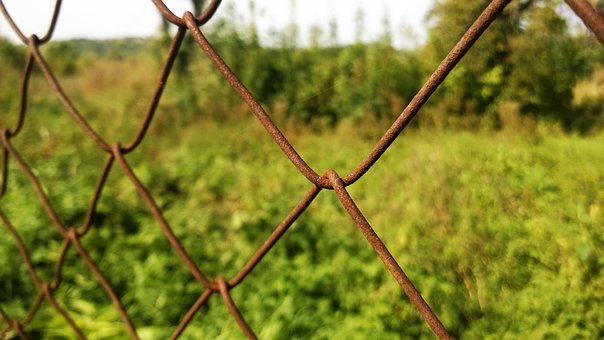 Trama, Metal, Malla, Naturaleza, Verdor