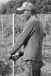 seasonal worker, worker, farmer