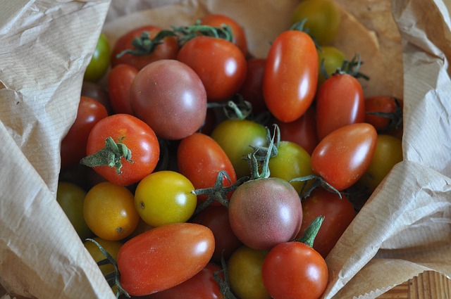 Free Tomatoes Cherry Tomatoes photo and picture