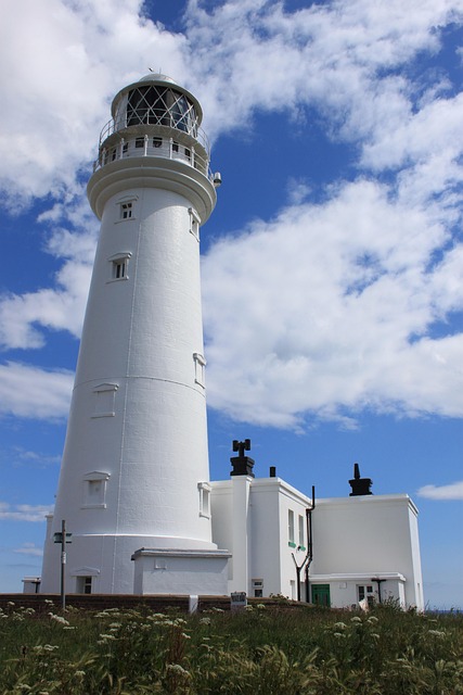 Free Lighthouse Sea photo and picture