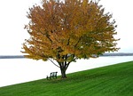 tranquil, autumn, scene