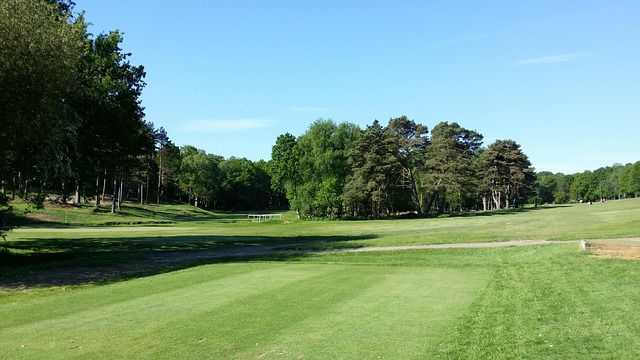 Golf, Campo De Golf, Verde, Hierba