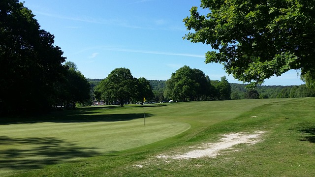 Golf, Campo De Golf, Verde, Hierba
