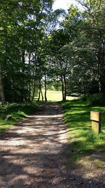 Golf, Campo De Golf, Verde, Hierba