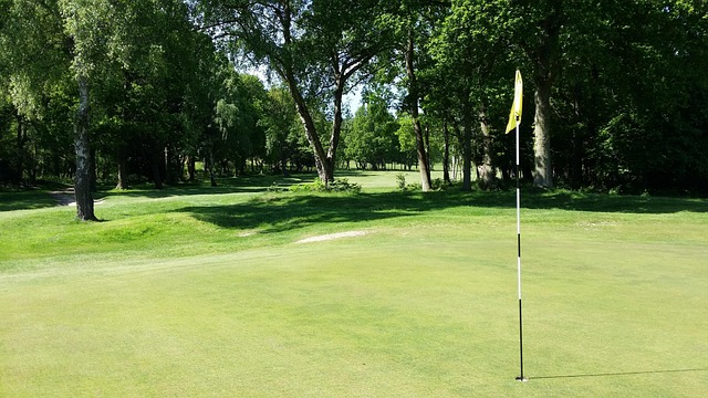 Golf, Campo De Golf, Verde, Hierba