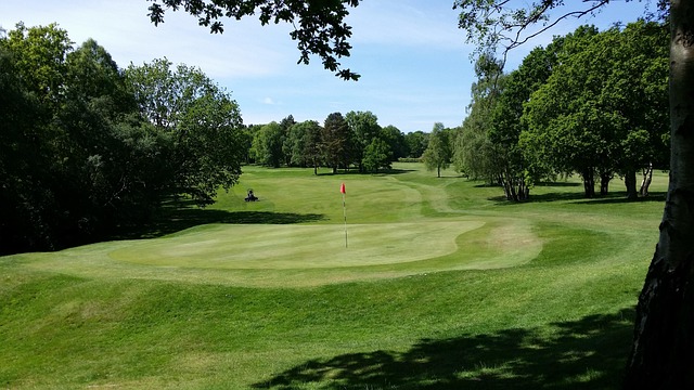 Golf, Campo De Golf, Verde, Hierba
