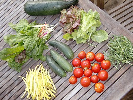 Free Vegetables Garden photo and picture