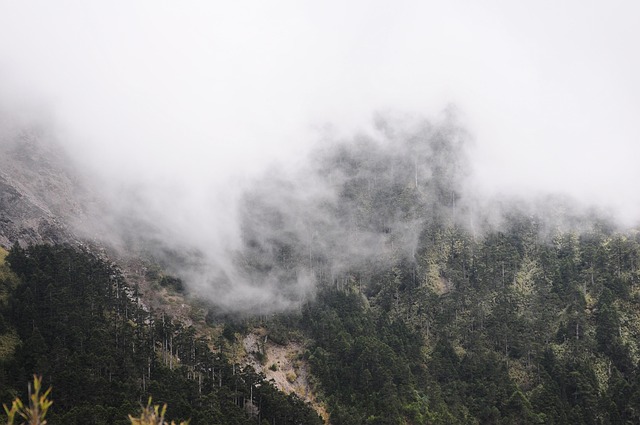 Free Heavy Fog Mountain photo and picture
